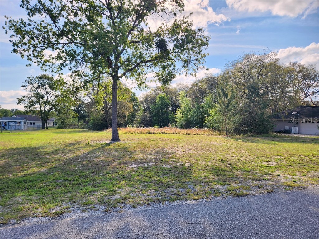 10561 SW 54th Court Ocala FL 34476 OM655676 image1