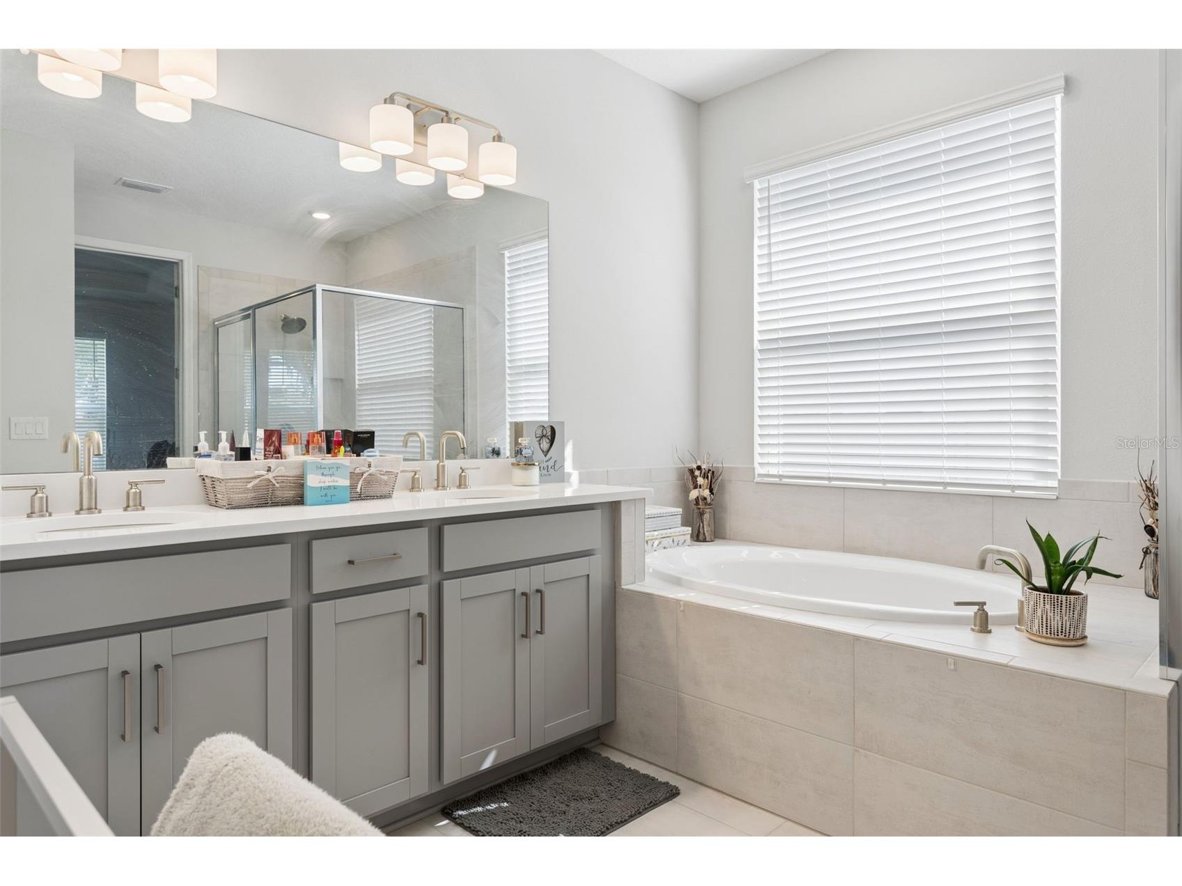 10561 Tranquil Meadow Loop Riverview FL 33569 TB8504614 image13