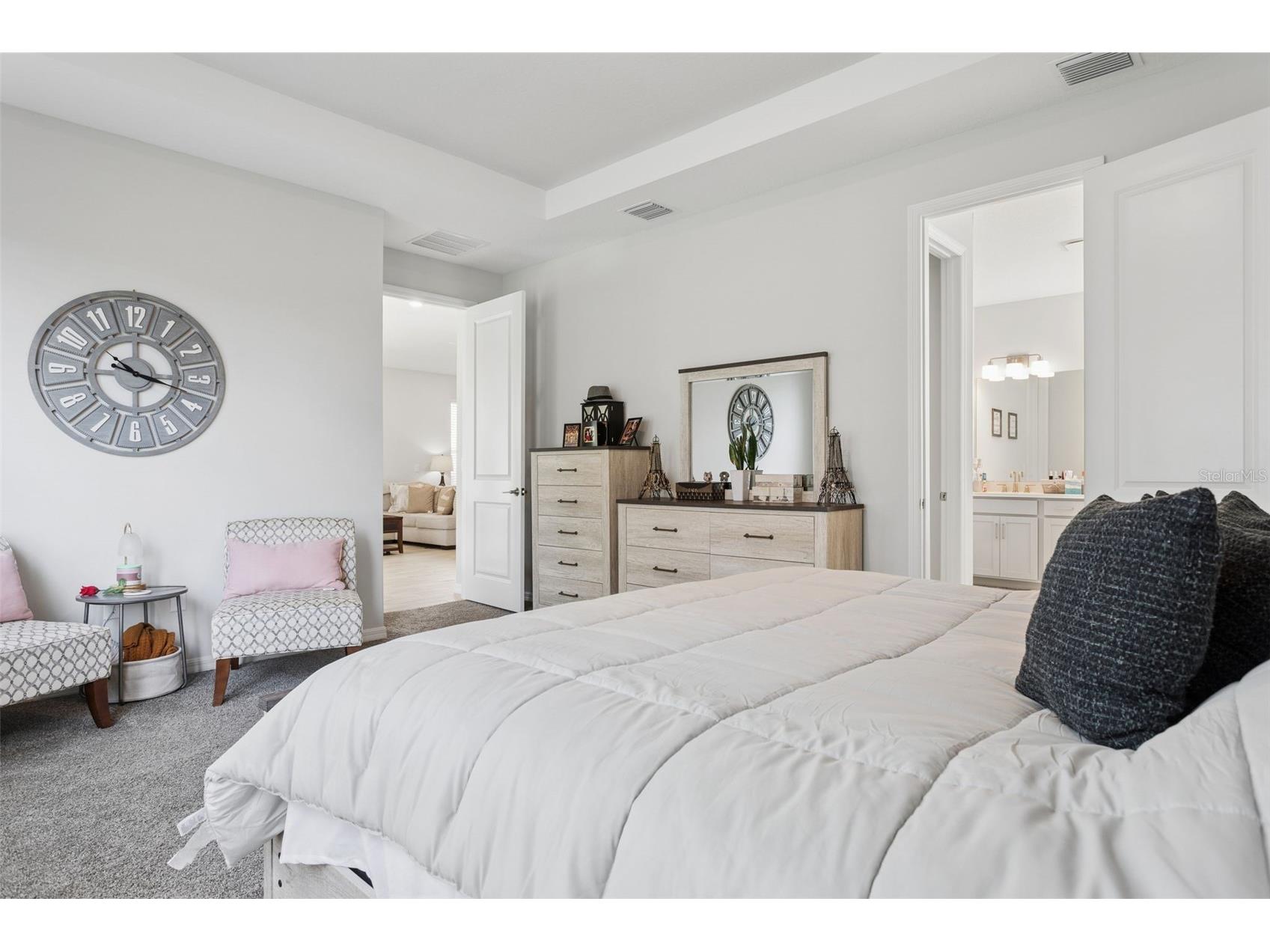 10561 Tranquil Meadow Loop Riverview FL 33569 TB8504614 image14