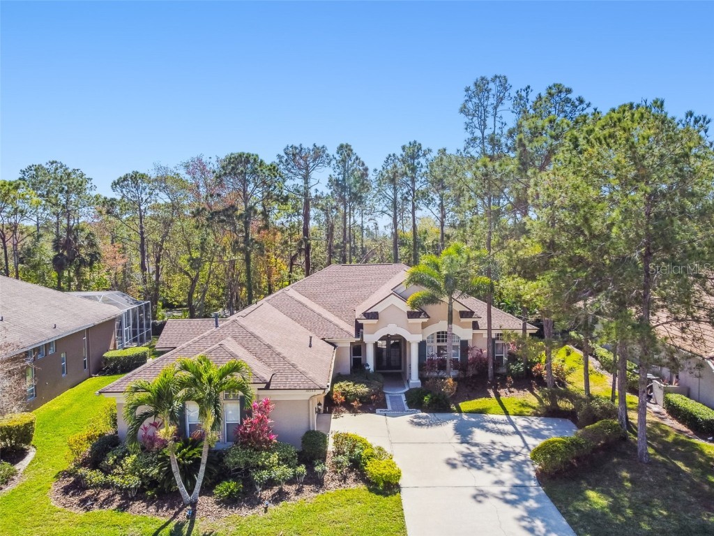 10563 Greensprings Drive Tampa FL 33626 T3431072 image1