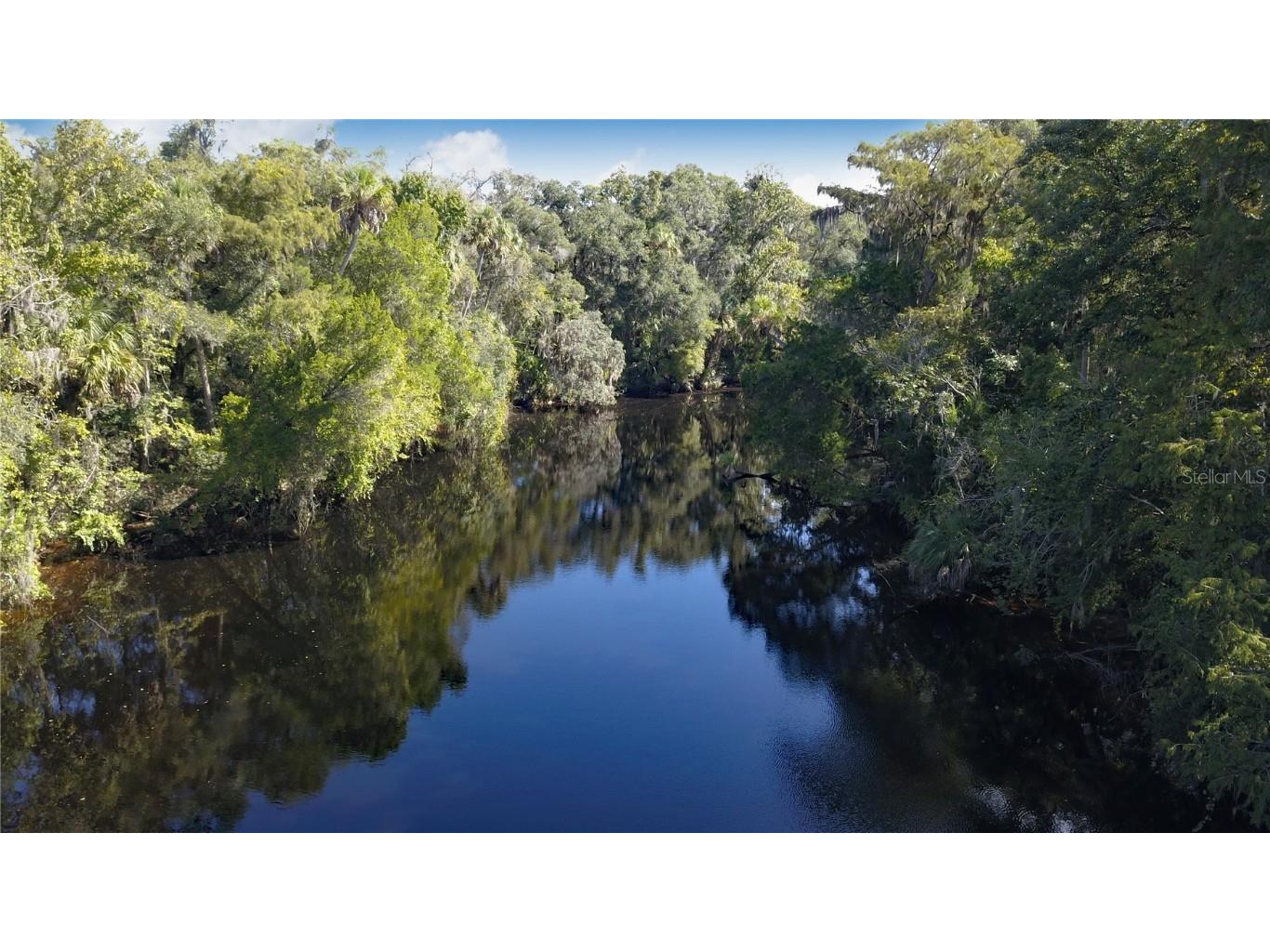 10564 N Dawnflower Point Crystal River FL 34428 - WITHLACOOCHEE RIVER U8140744 image1