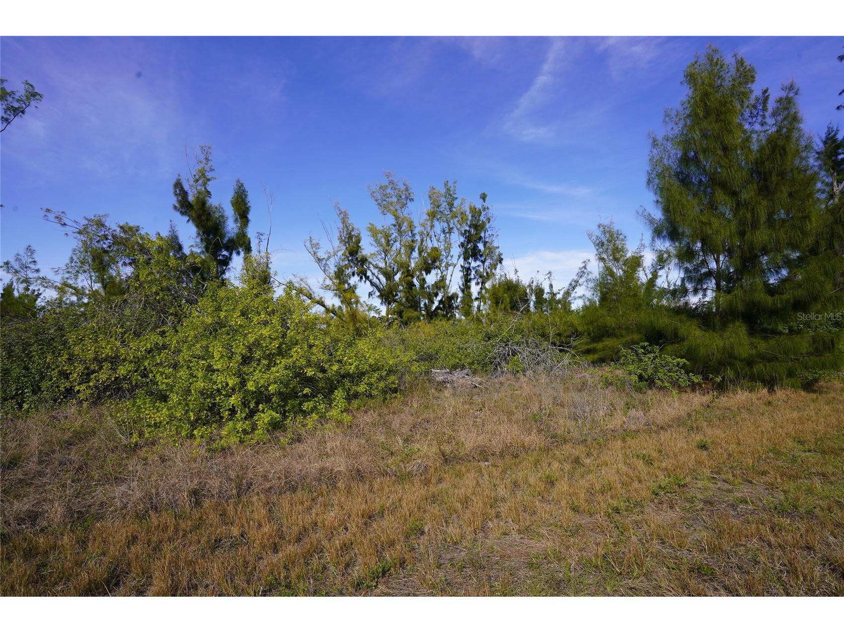 10565 Abello Road Port Charlotte FL 33981 C7522112 image3