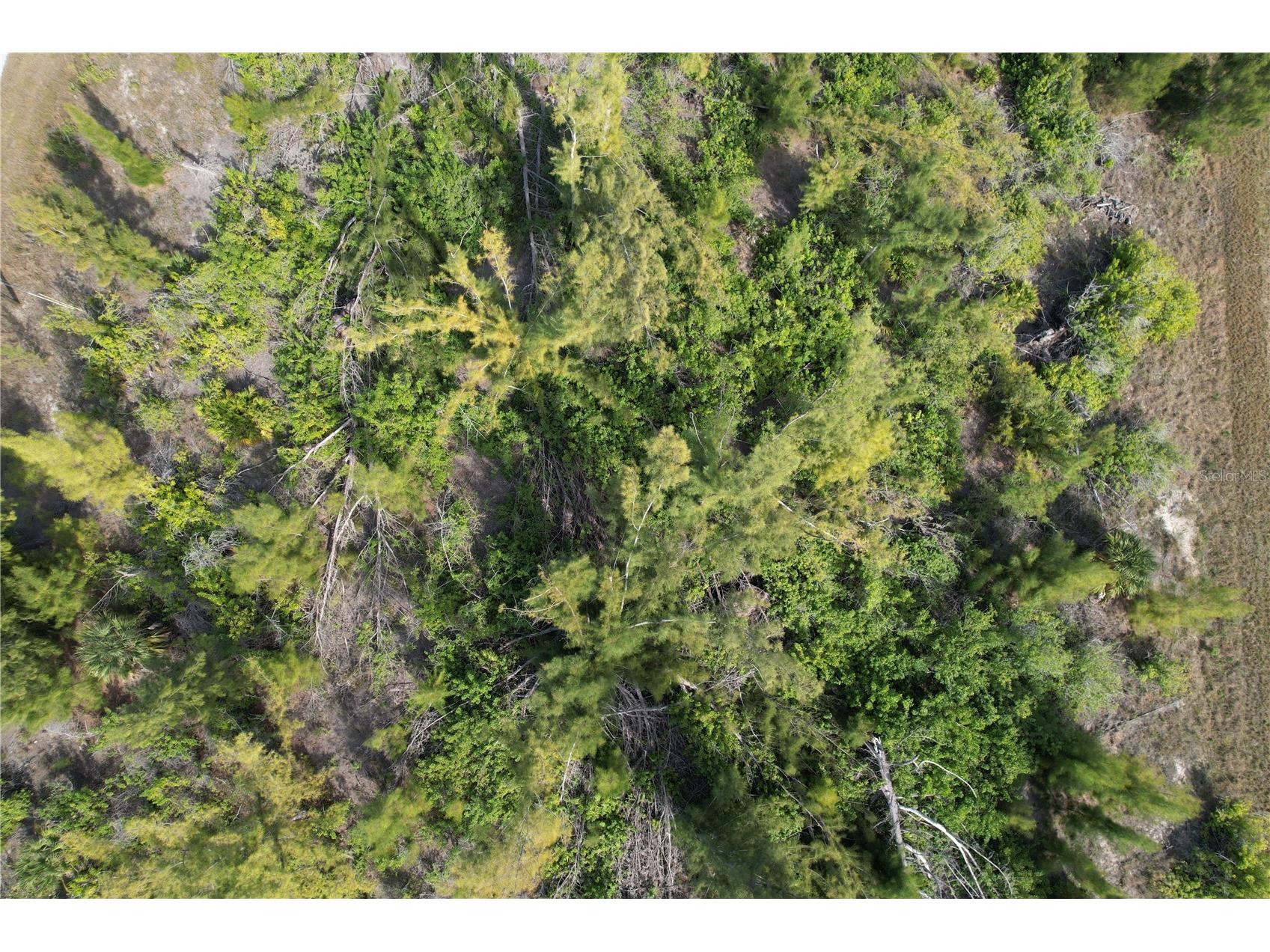 10565 Abello Road Port Charlotte FL 33981 C7522112 image9