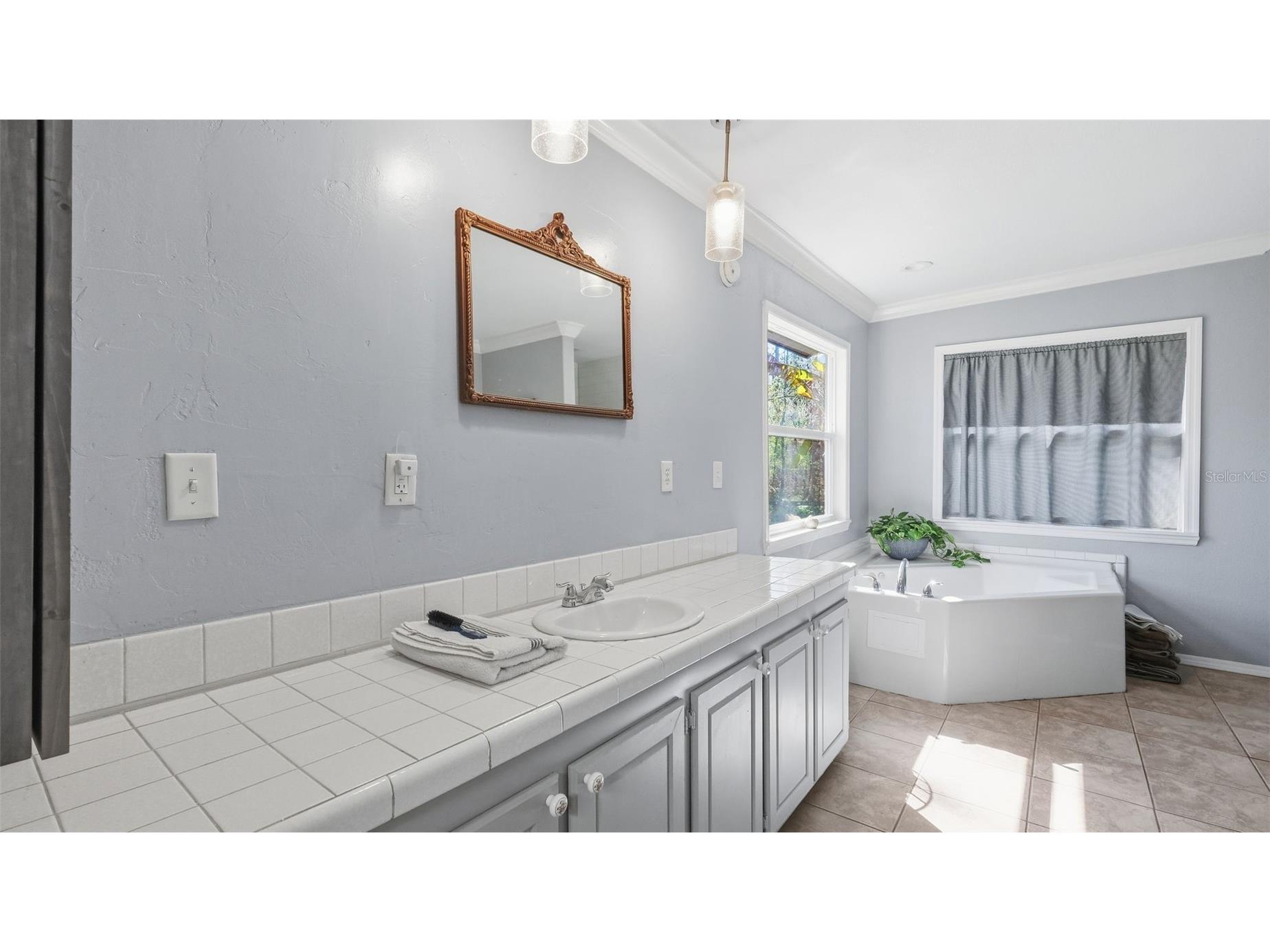 10565 Bessemer Street New Port Richey FL 34654 TB8472454 image13
