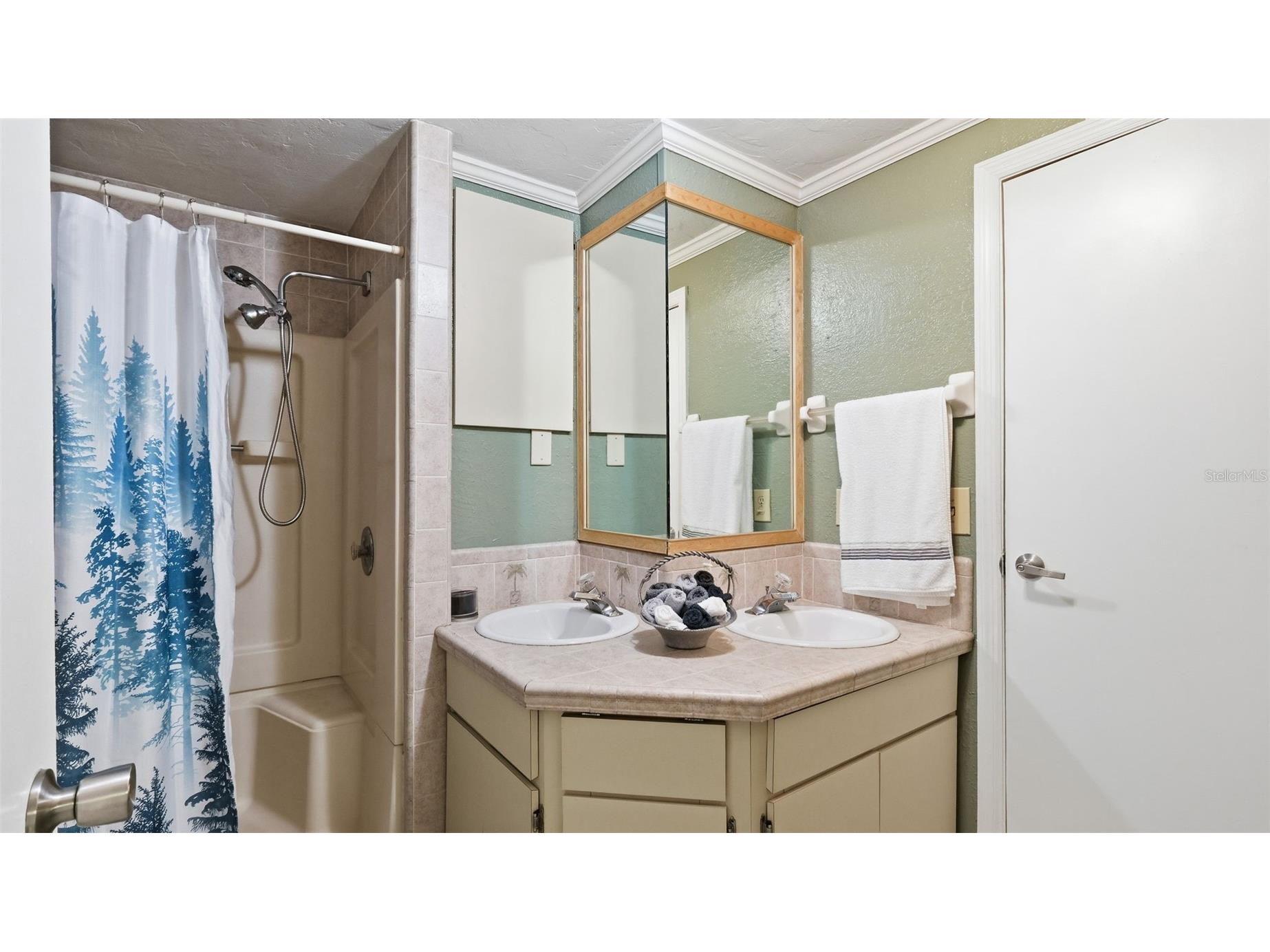 10565 Bessemer Street New Port Richey FL 34654 TB8472454 image18