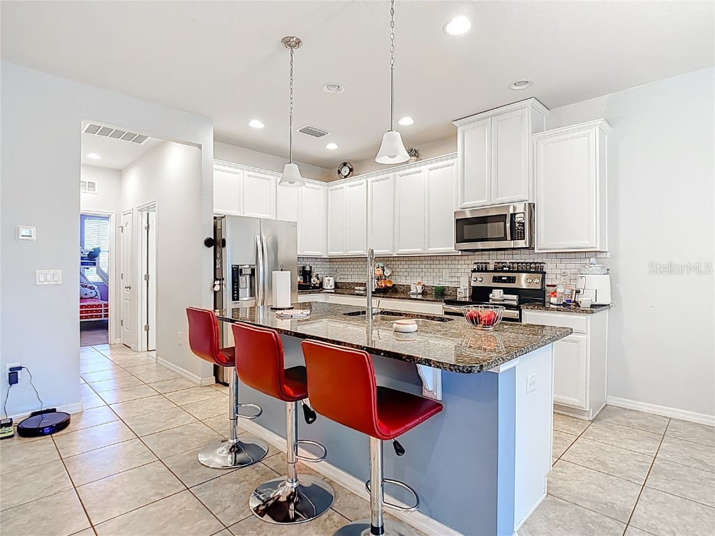 10567 Heron Hideaway Loop Land O Lakes FL 34638 TB8450961 image13