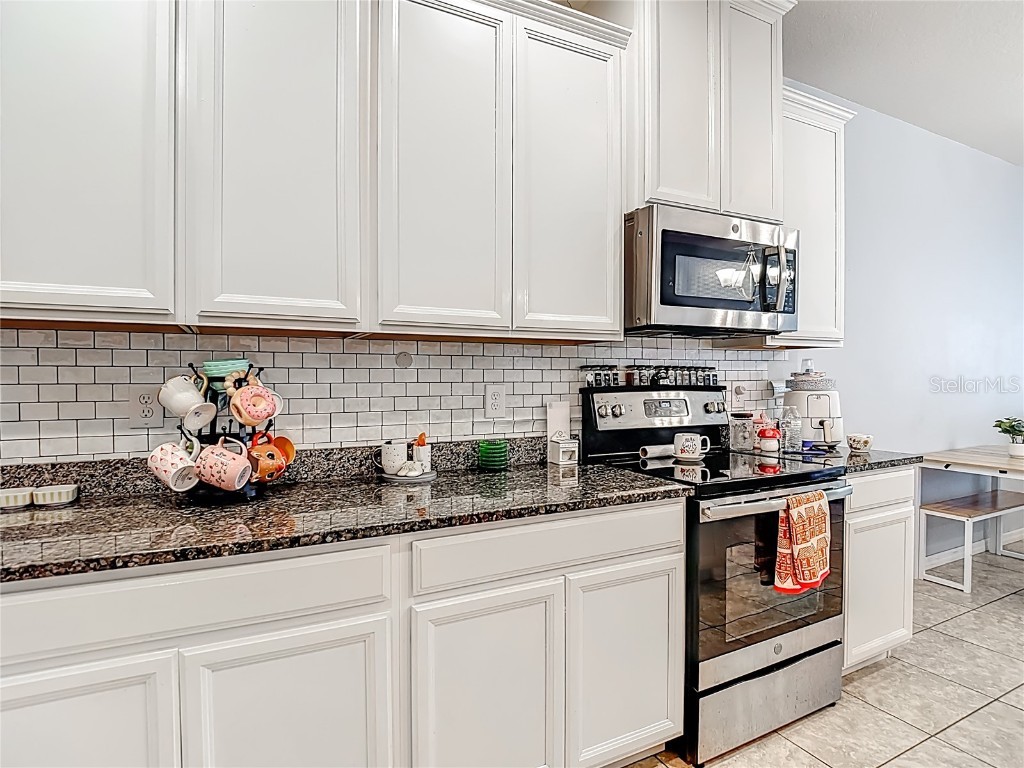 10567 Heron Hideaway Loop Land O Lakes FL 34638 TB8450961 image17