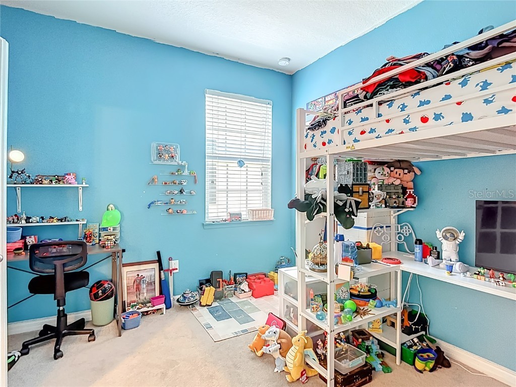 10567 Heron Hideaway Loop Land O Lakes FL 34638 TB8450961 image19