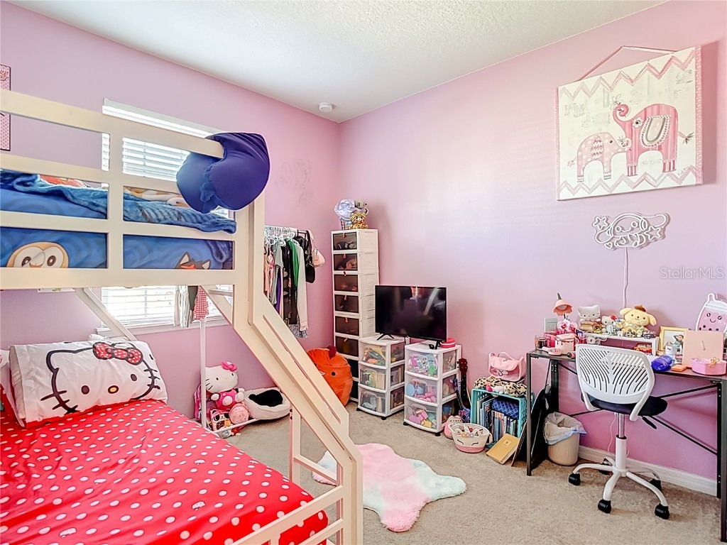 10567 Heron Hideaway Loop Land O Lakes FL 34638 TB8450961 image22