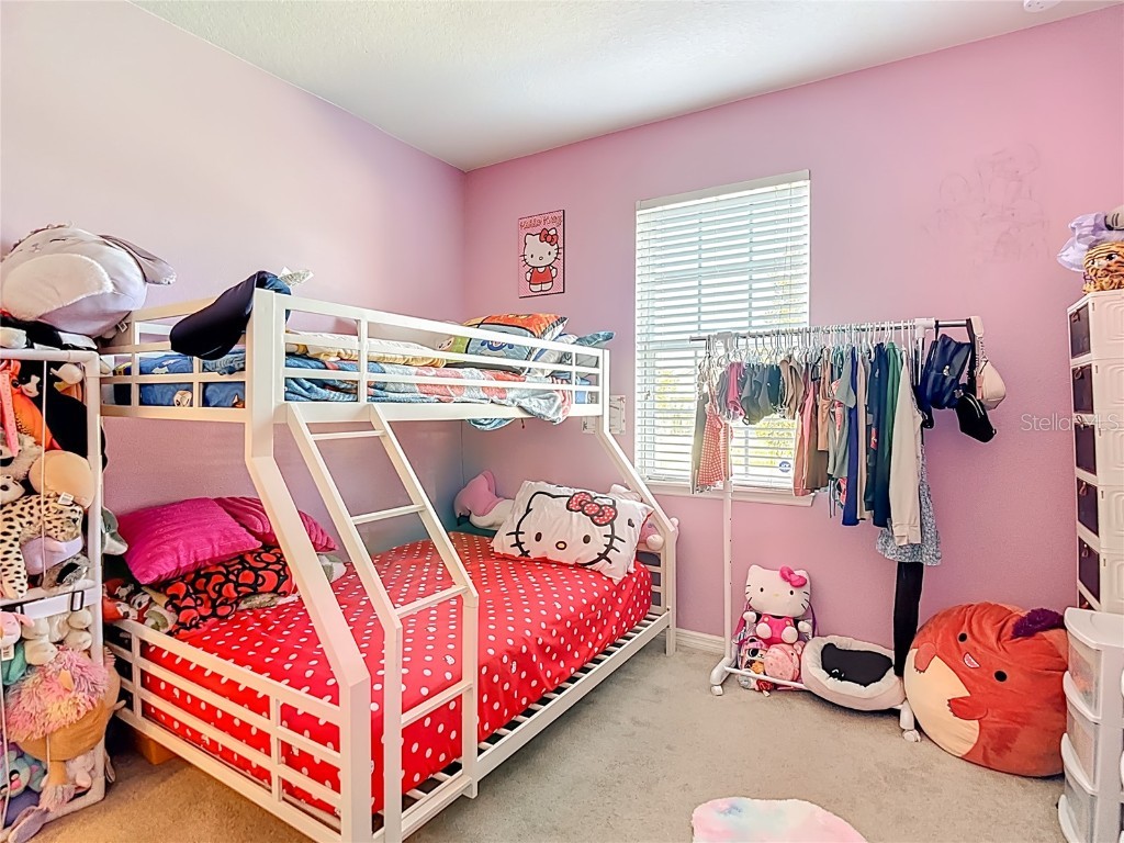 10567 Heron Hideaway Loop Land O Lakes FL 34638 TB8450961 image23