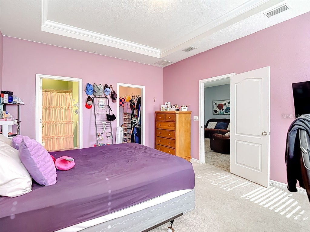 10567 Heron Hideaway Loop Land O Lakes FL 34638 TB8450961 image26