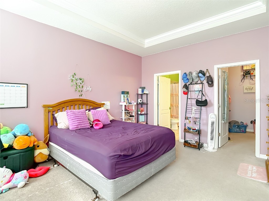 10567 Heron Hideaway Loop Land O Lakes FL 34638 TB8450961 image27