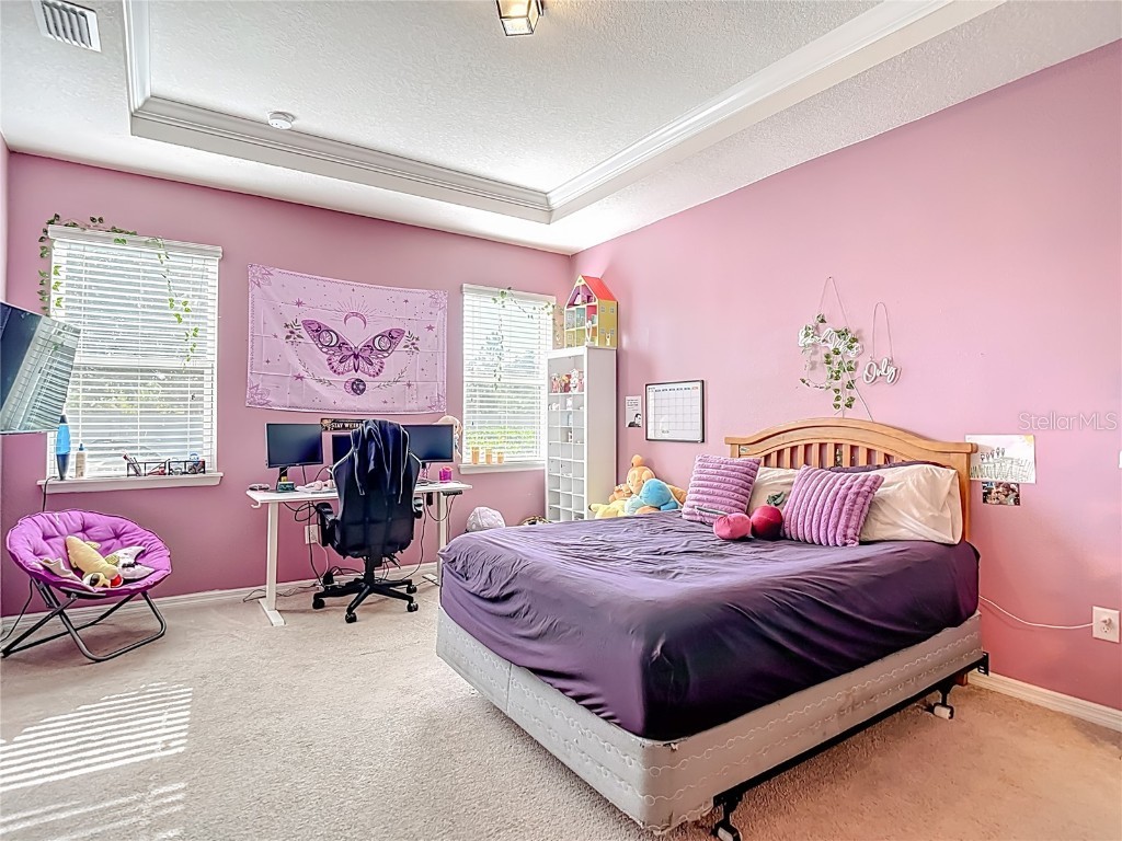 10567 Heron Hideaway Loop Land O Lakes FL 34638 TB8450961 image28