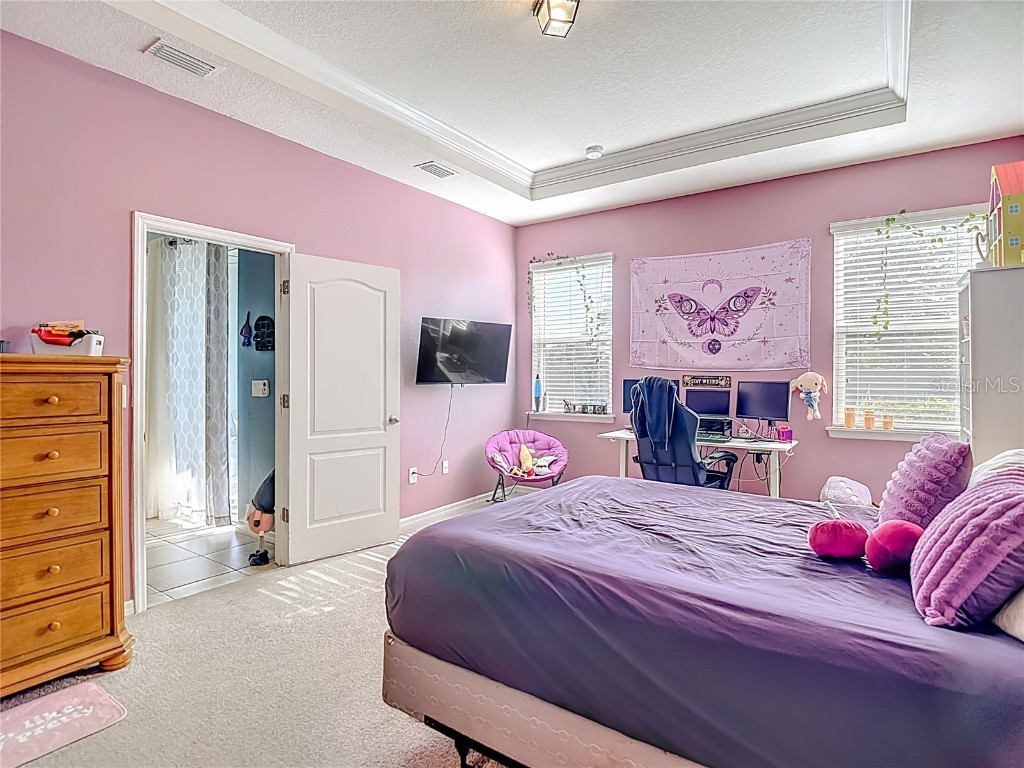 10567 Heron Hideaway Loop Land O Lakes FL 34638 TB8450961 image29