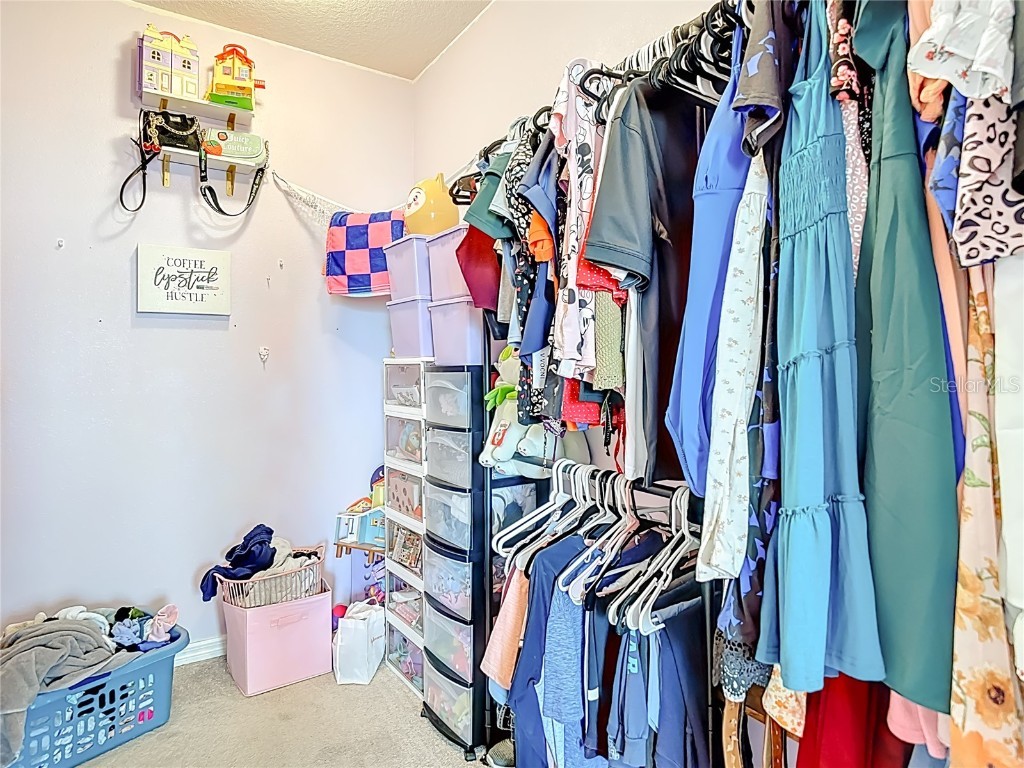 10567 Heron Hideaway Loop Land O Lakes FL 34638 TB8450961 image32