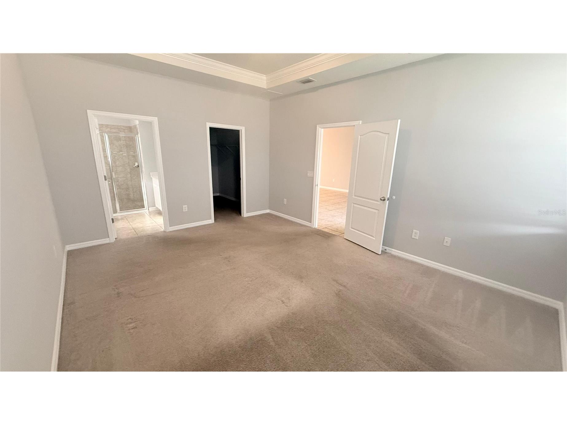 10567 Heron Hideaway Loop Land O Lakes FL 34638 TB8493429 image11