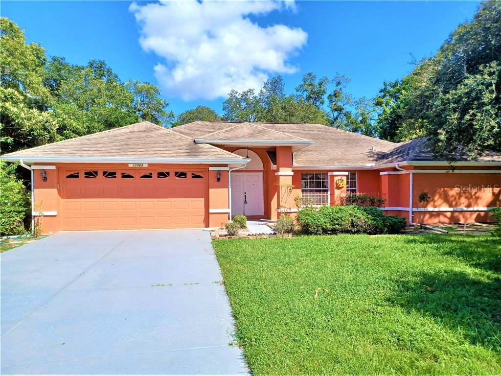 10568 Horizon Drive Spring Hill FL 34608 U8217270 image1
