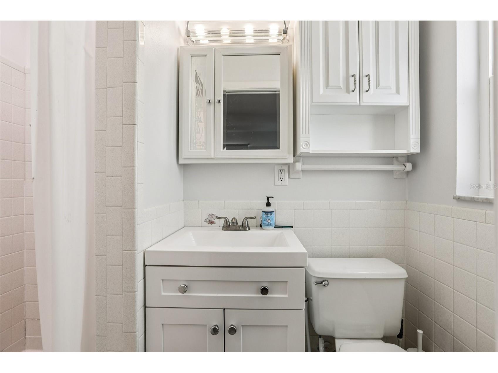 10569 Lake Vista Drive Seminole FL 33772 TB8485677 image12