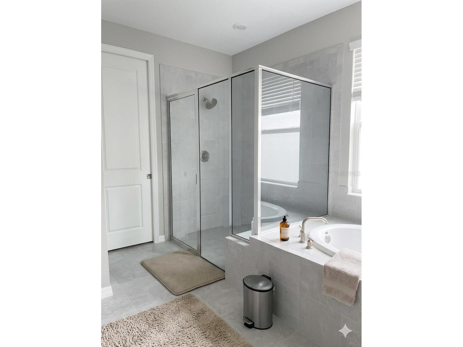 10569 Tranquil Meadow Loop Riverview FL 33569 TB8496061 image15