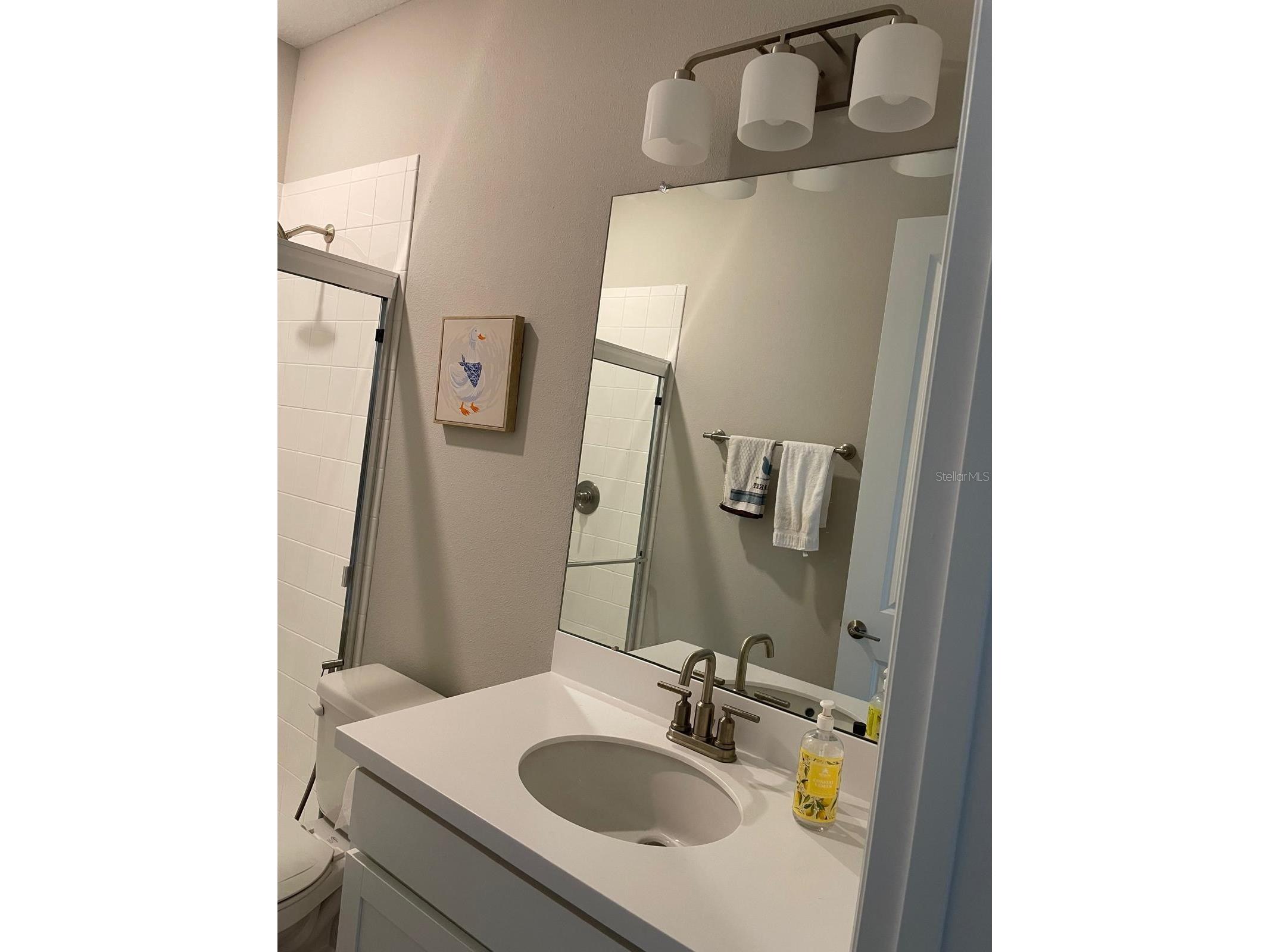 10569 Tranquil Meadow Loop Riverview FL 33569 TB8496061 image19