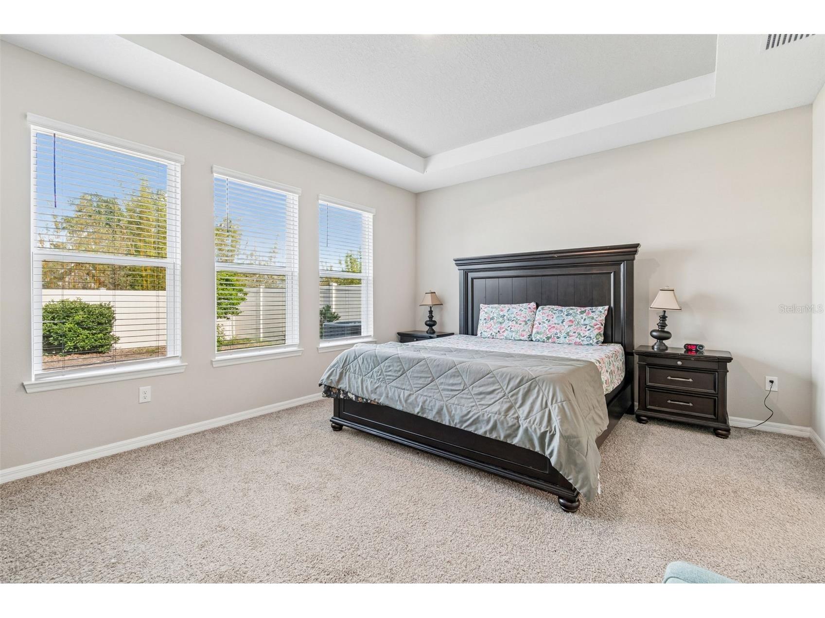 10569 Tranquil Meadow Loop Riverview FL 33569 TB8516004 image37