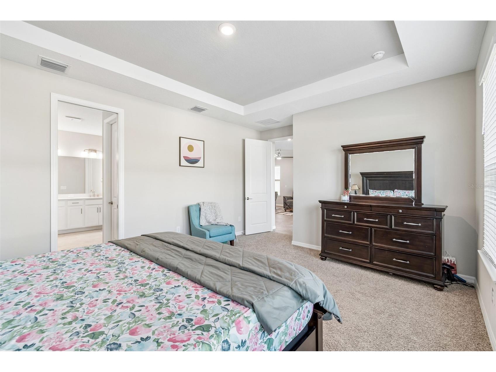 10569 Tranquil Meadow Loop Riverview FL 33569 TB8516004 image38