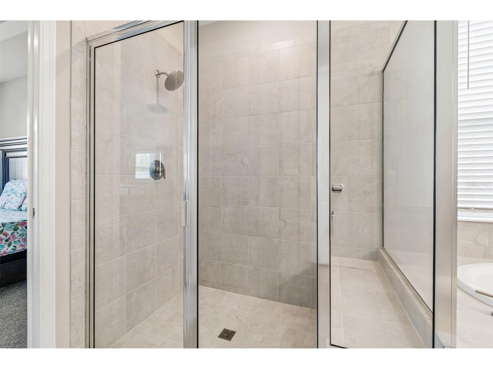 10569 Tranquil Meadow Loop Riverview FL 33569 TB8516004 image44
