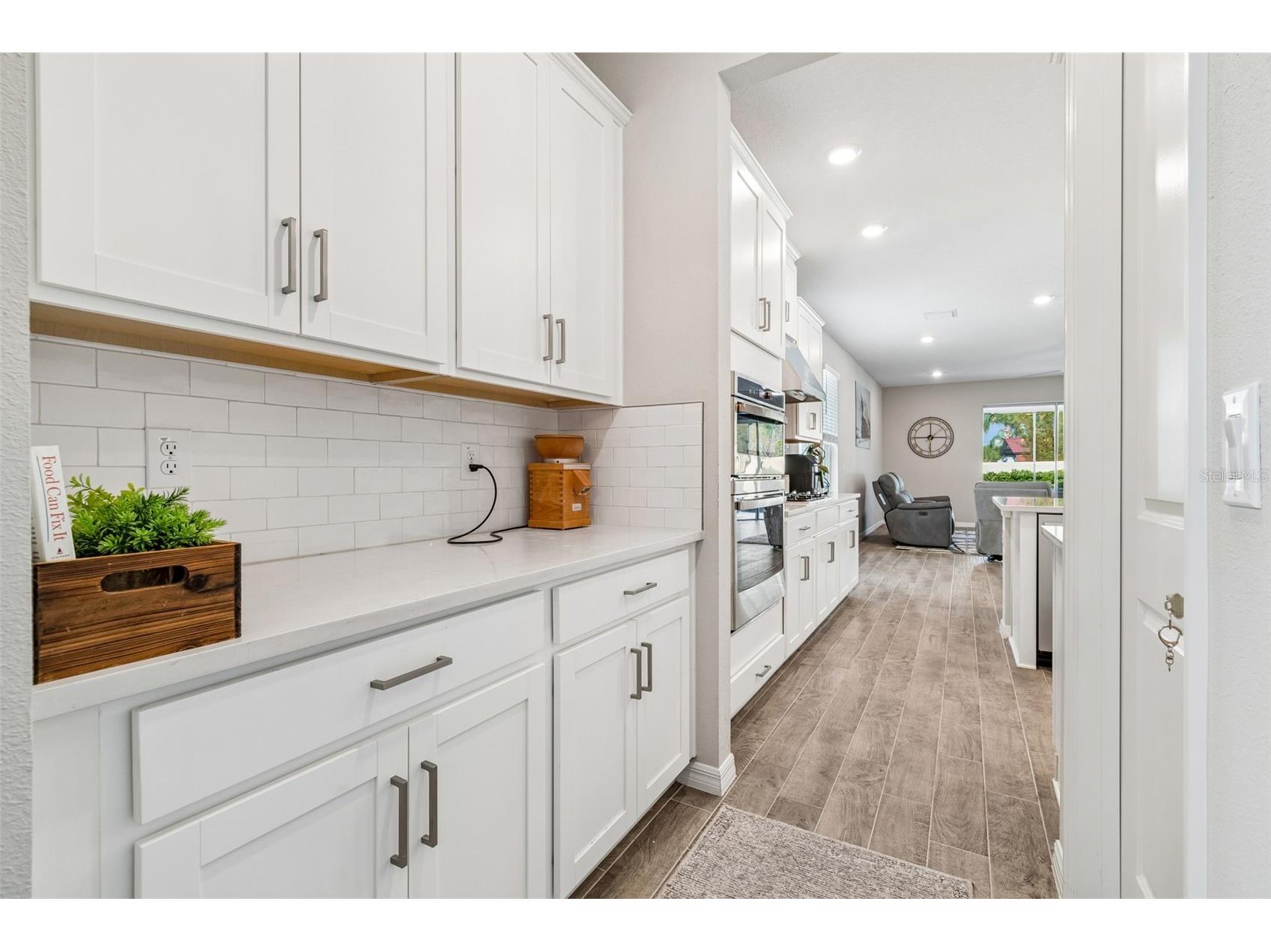 10569 Tranquil Meadow Loop Riverview FL 33569 TB8523247 image14
