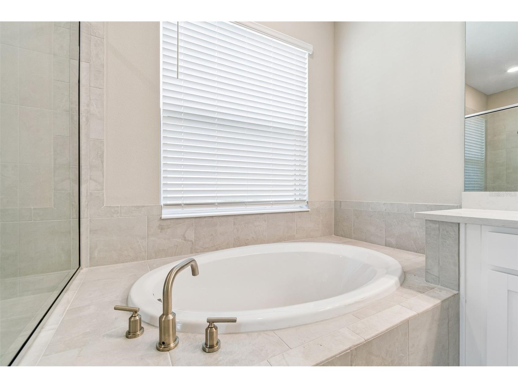 10569 Tranquil Meadow Loop Riverview FL 33569 TB8523247 image26