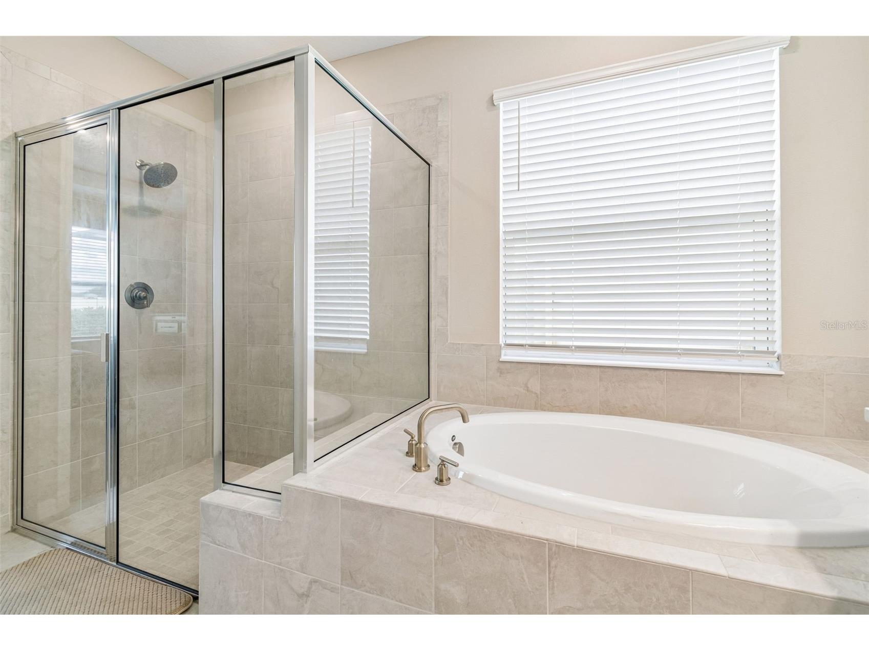 10569 Tranquil Meadow Loop Riverview FL 33569 TB8523247 image27