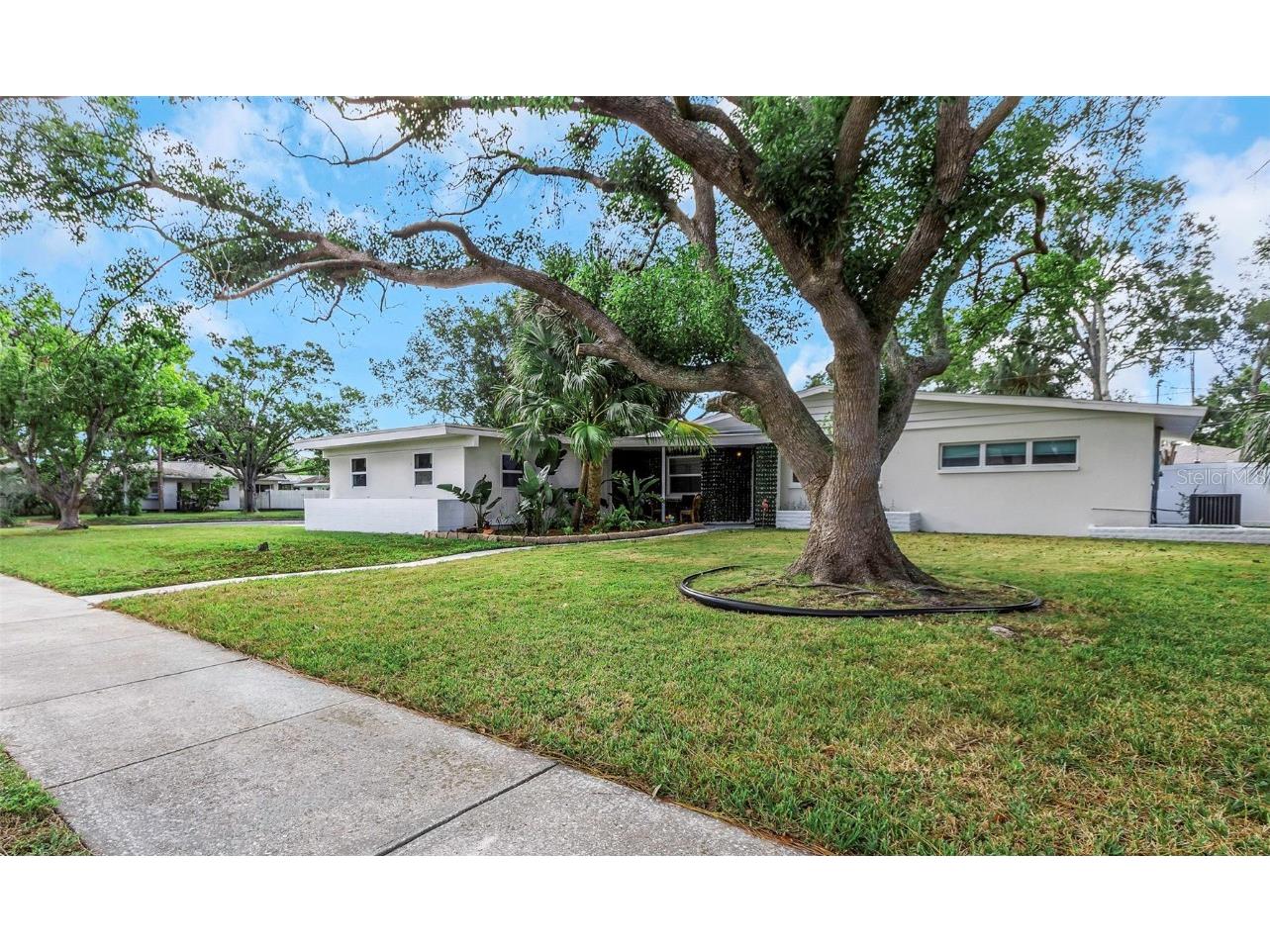 1057 Calumet Street Clearwater FL 33755 TB8445862 image5