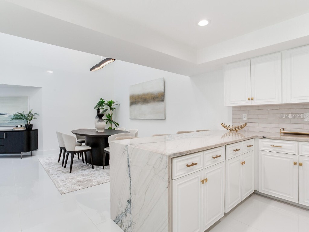 1057 Royal Troon Court Tarpon Springs FL 34688 TB8441712 image33