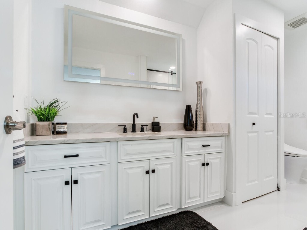 1057 Royal Troon Court Tarpon Springs FL 34688 TB8441712 image39