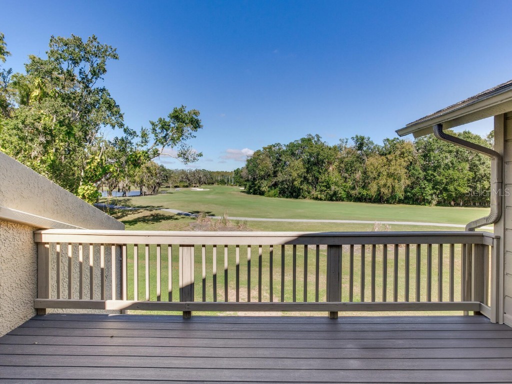 1057 Royal Troon Court Tarpon Springs FL 34688 TB8441712 image47