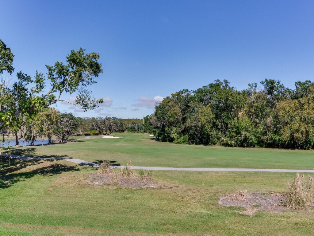 1057 Royal Troon Court Tarpon Springs FL 34688 TB8441712 image48