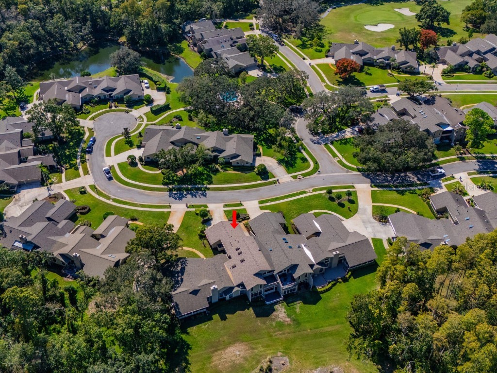 1057 Royal Troon Court Tarpon Springs FL 34688 TB8441712 image57