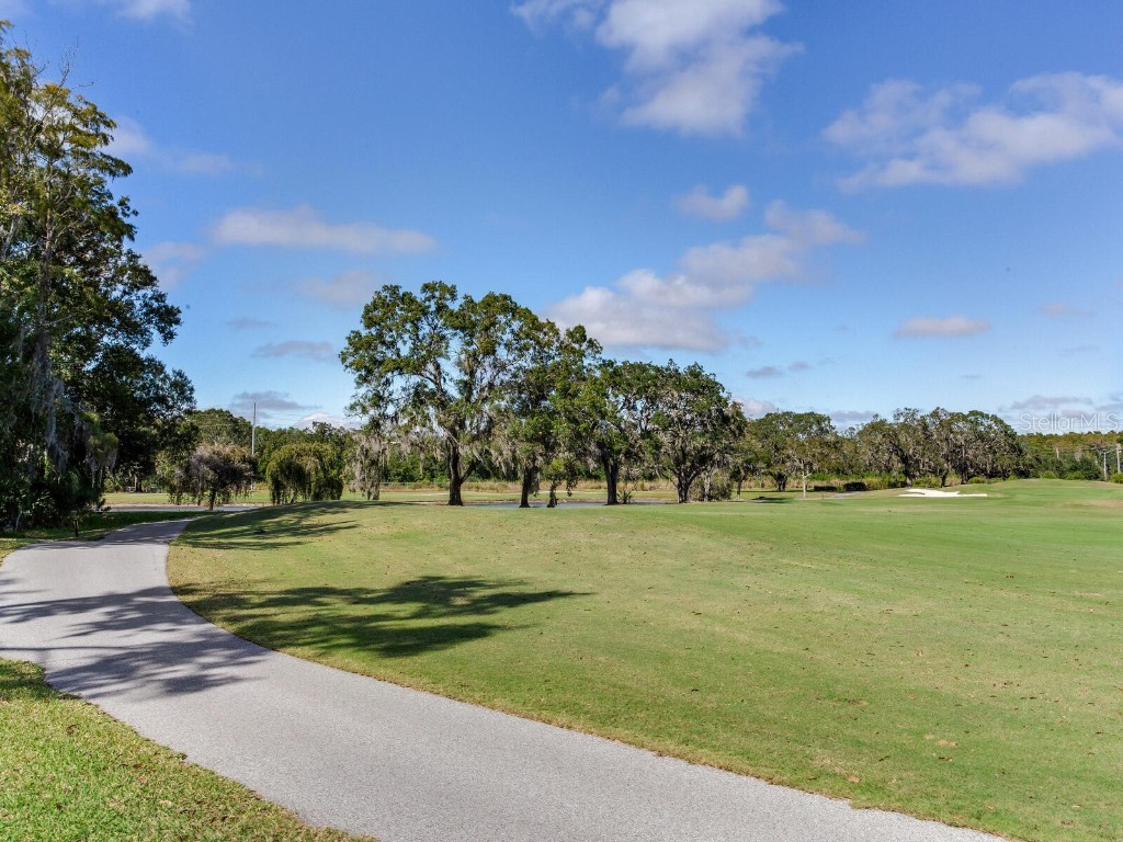 1057 Royal Troon Court Tarpon Springs FL 34688 TB8441712 image58