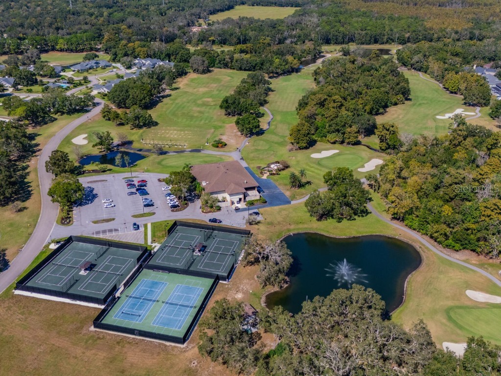 1057 Royal Troon Court Tarpon Springs FL 34688 TB8441712 image63