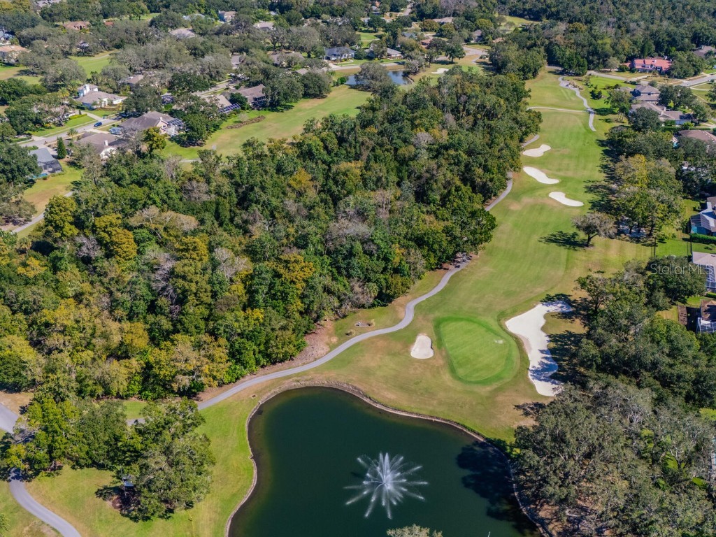 1057 Royal Troon Court Tarpon Springs FL 34688 TB8441712 image65
