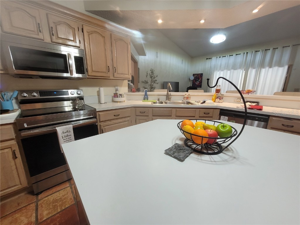 1057 Torchwood Drive Deland FL 32724 O6362244 image28