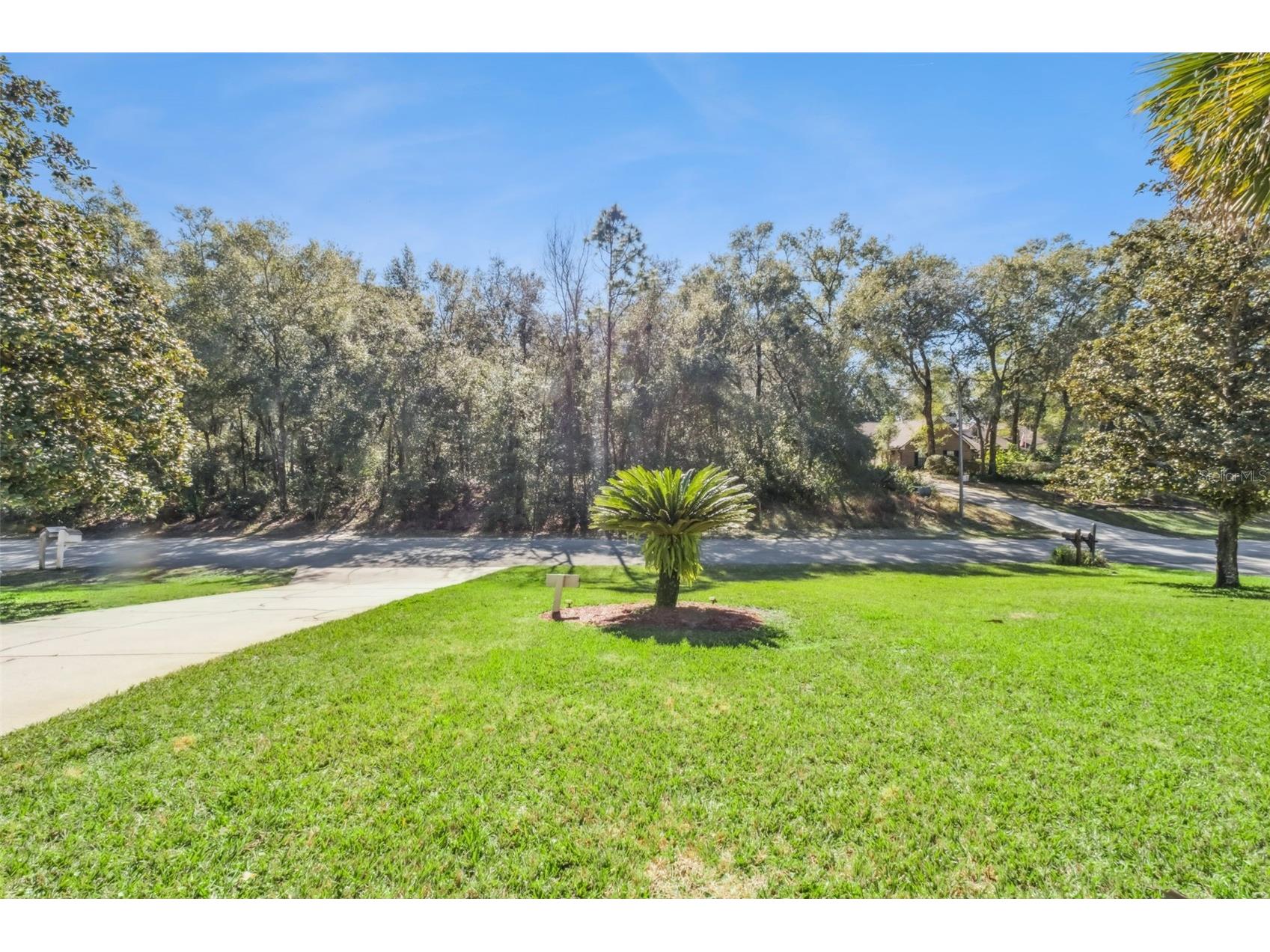 1057 Torchwood Drive Deland FL 32724 O6377289 image40