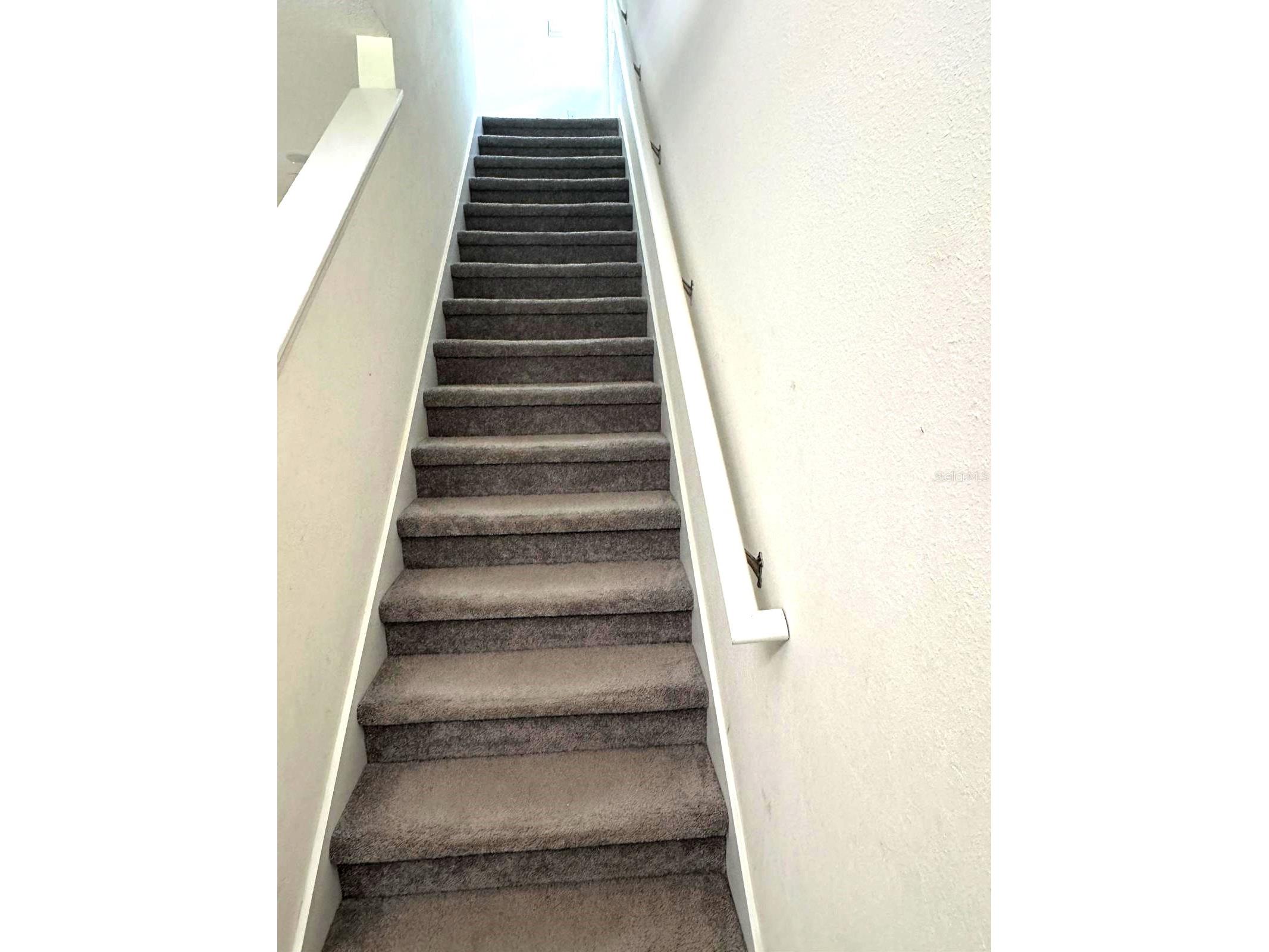 10570 Penny Gale Loop San Antonio FL 33576 TB8525908 image12