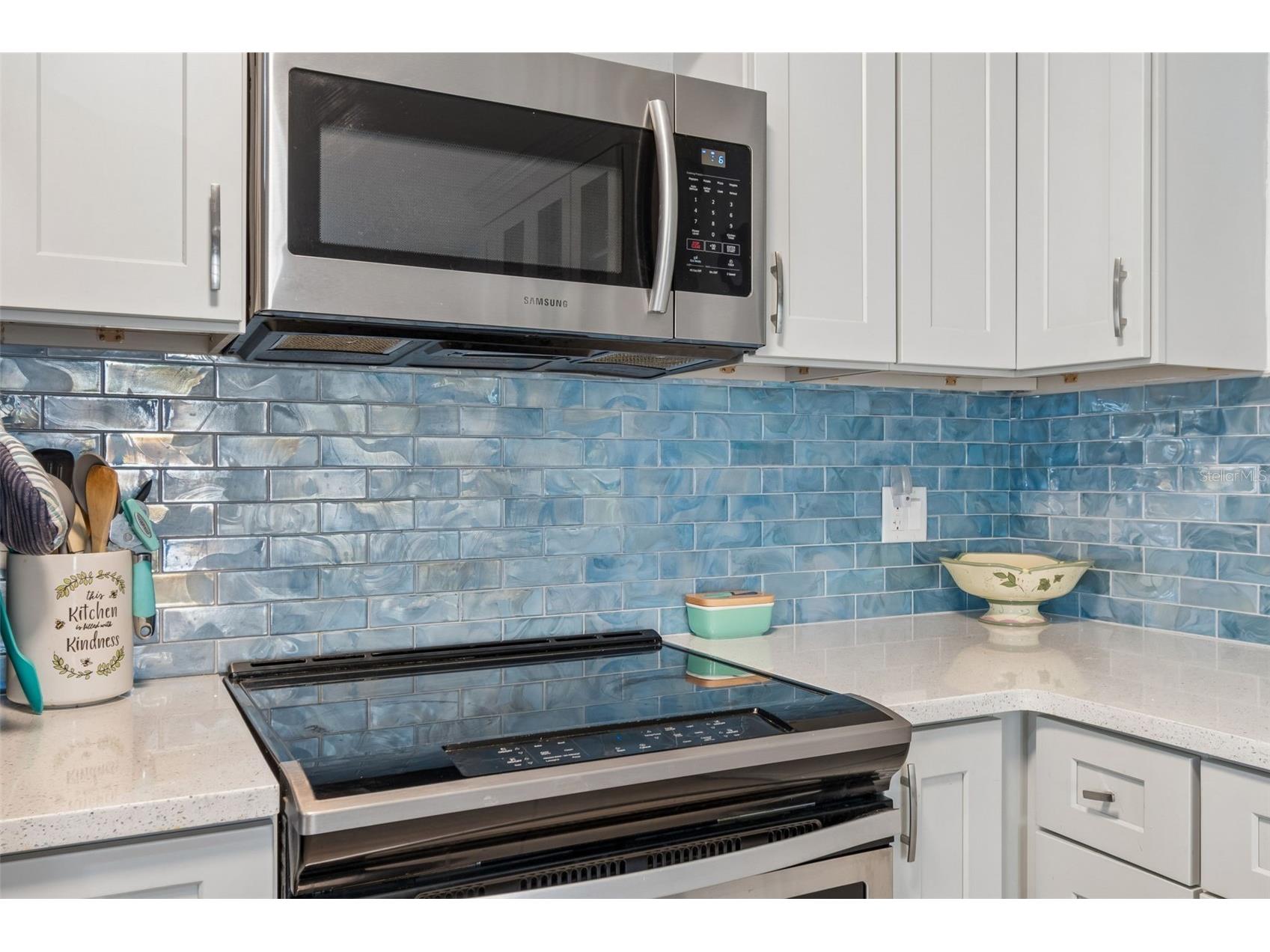 10572 Blossom Lake Drive Seminole FL 33772 TB8498010 image11