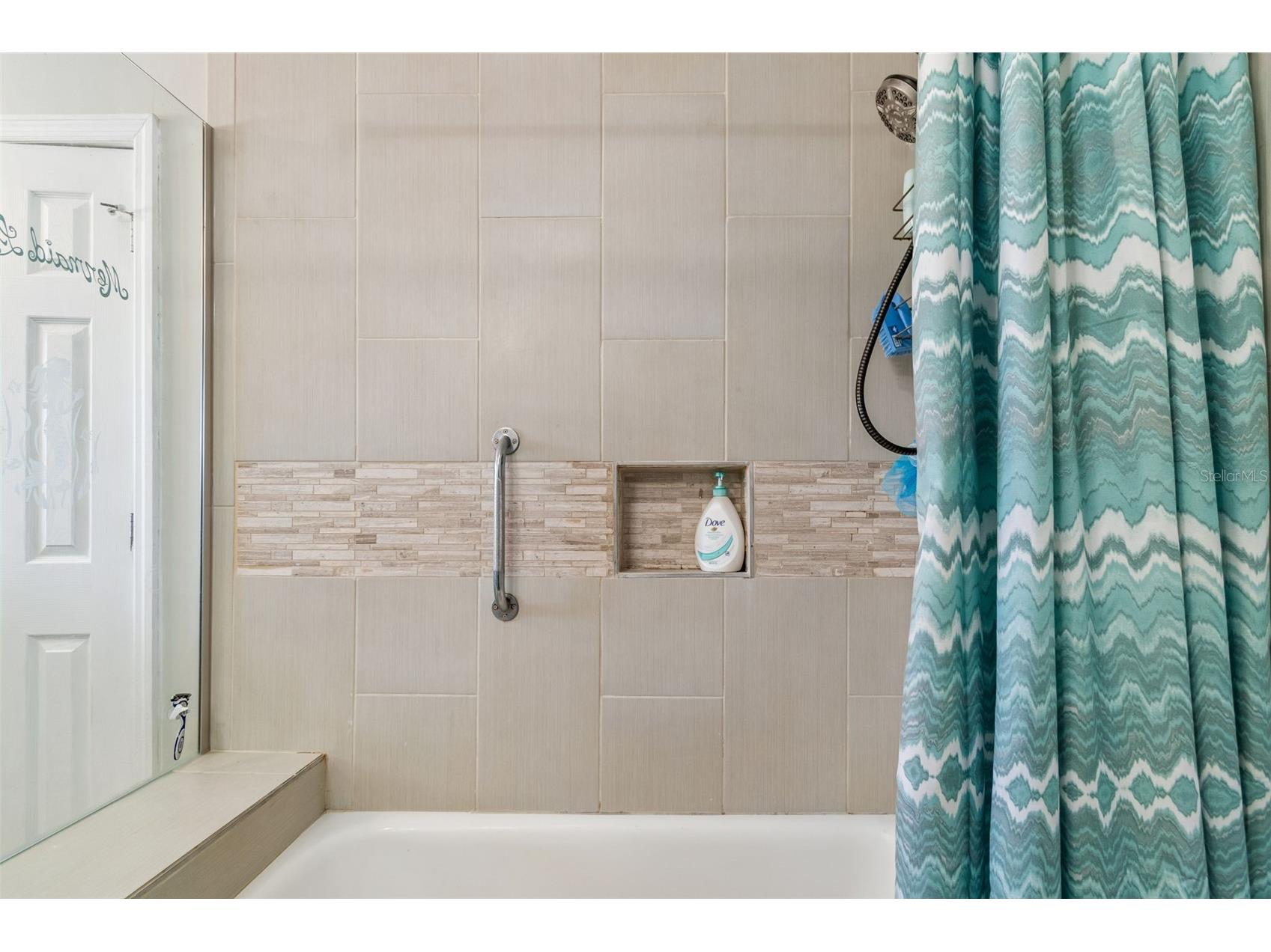 10572 Blossom Lake Drive Seminole FL 33772 TB8498010 image29