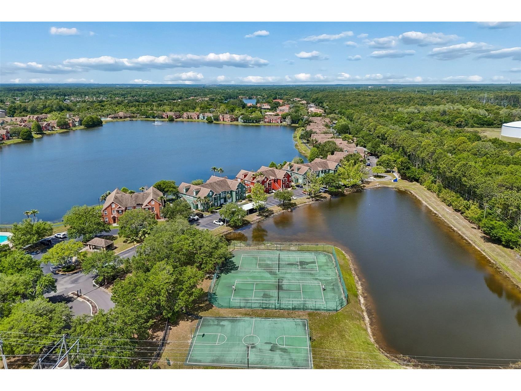 10576 Windsor Lake Court #41 Tampa FL 33626 TB8494131 image65