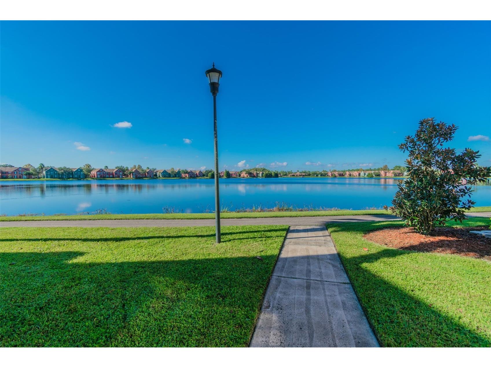 10576 Windsor Lake Court #41 Tampa FL 33626 TB8494131 image71