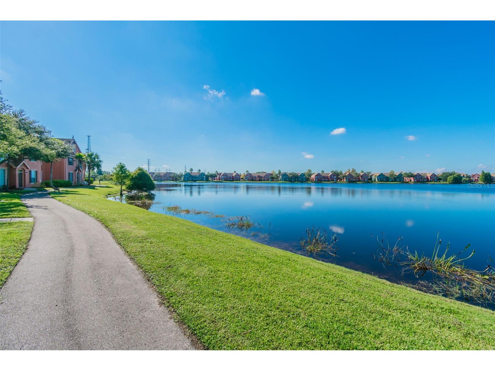 10576 Windsor Lake Court #41 Tampa FL 33626 TB8494131 image72