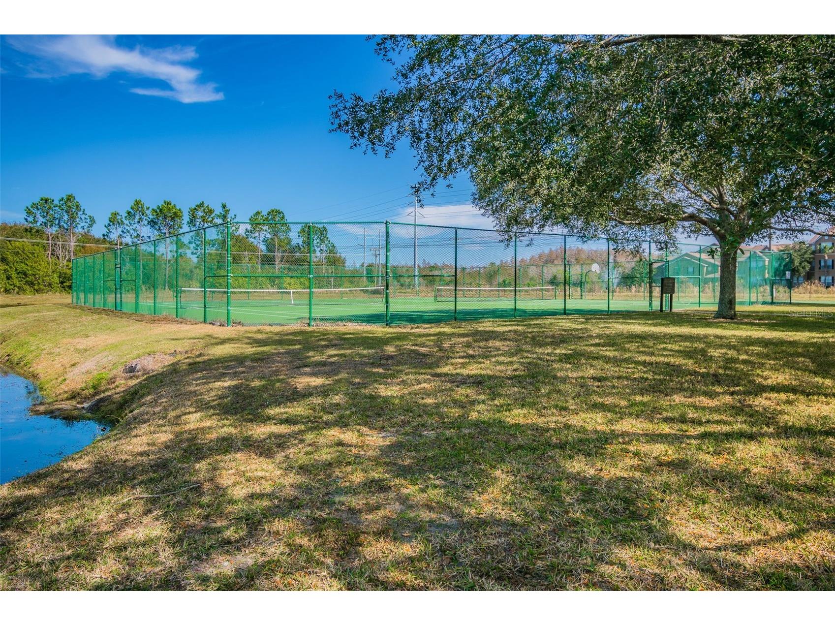 10576 Windsor Lake Court #41 Tampa FL 33626 TB8494131 image75