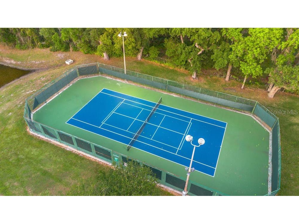 10577 Down Lakeview Circle Windermere FL 34786 - LAKE DOWN O6377244 image100