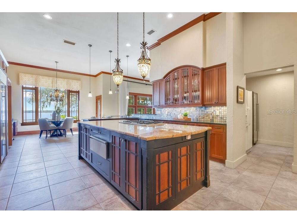 10577 Down Lakeview Circle Windermere FL 34786 - LAKE DOWN O6377244 image21
